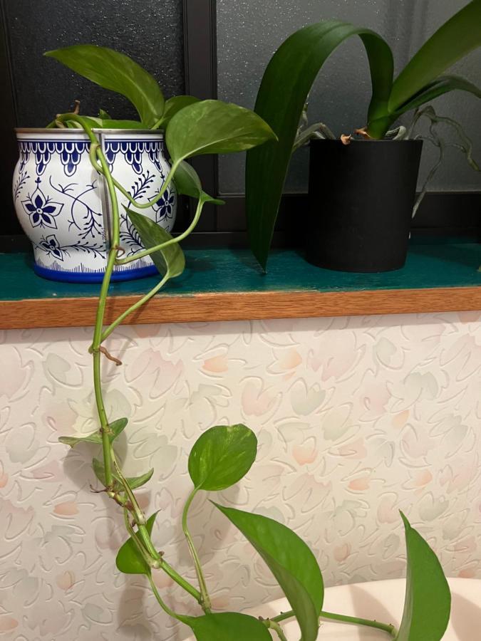 Eishinan 栄進庵 Guest House Fuji  Ngoại thất bức ảnh