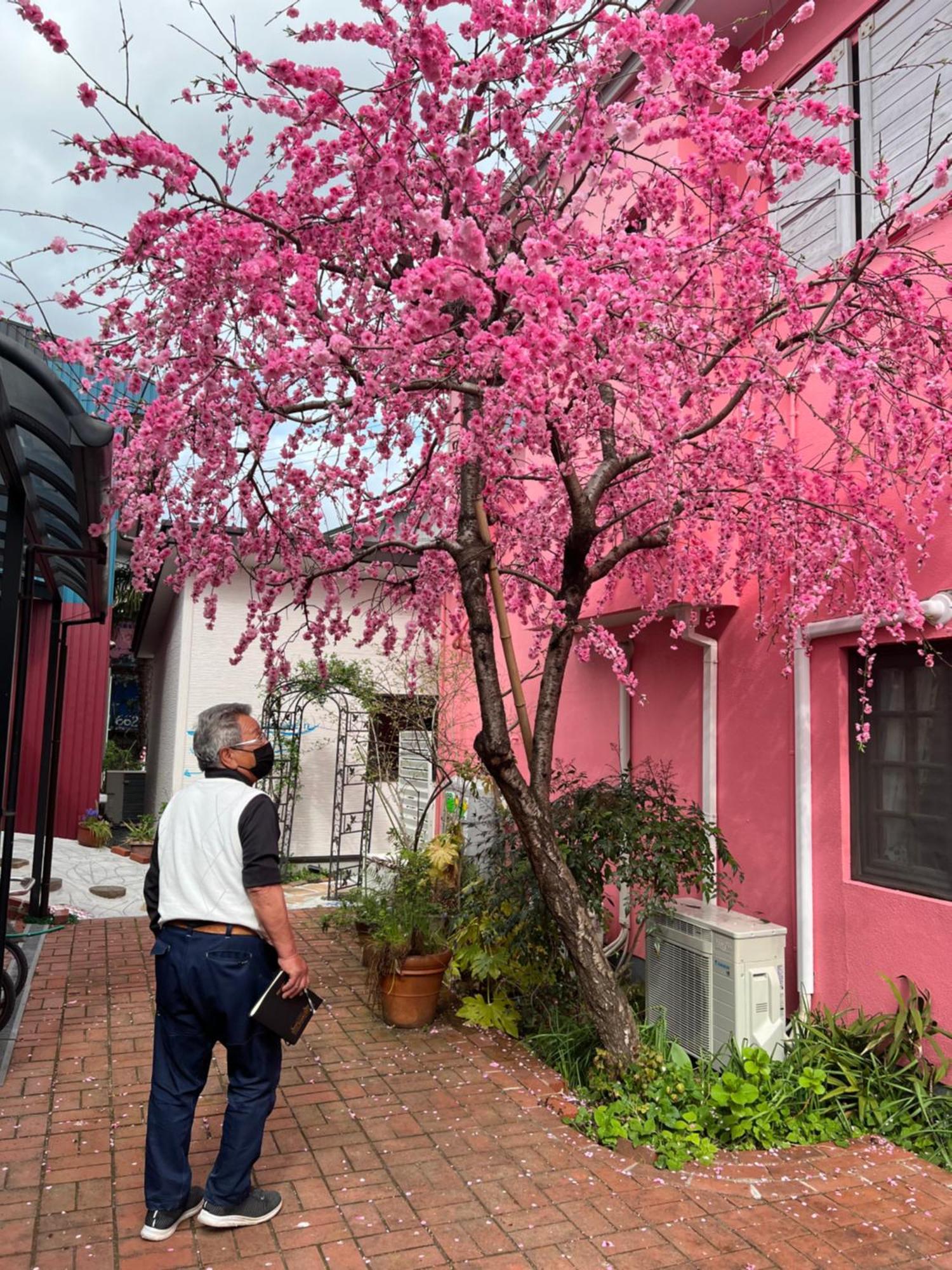 Eishinan 栄進庵 Guest House Fuji  Ngoại thất bức ảnh